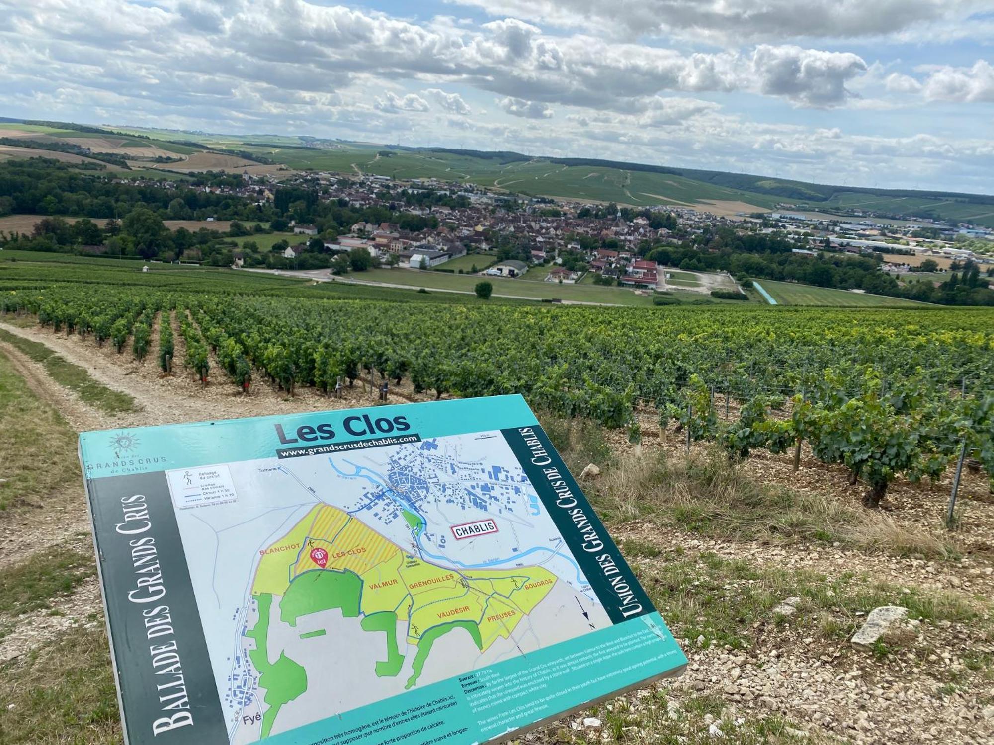 Le Merrain Gite Plein Coeur De Chablis Dış mekan fotoğraf